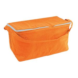 Cooler bags with handle