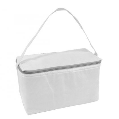 Cooler bags with handle