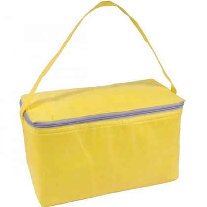 Cooler bags with handle