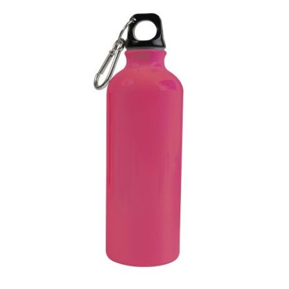 Drinking bottle with carabiner 