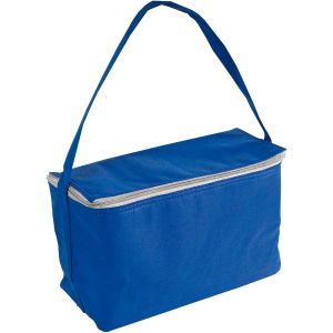 Cooler bags with handle