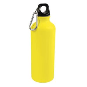 Drinking bottle with carabiner 