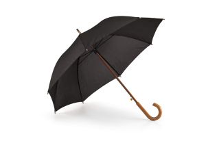 Umbrella for rain
