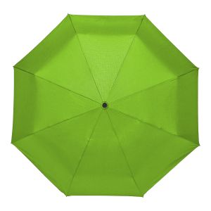 Umbrella for rain